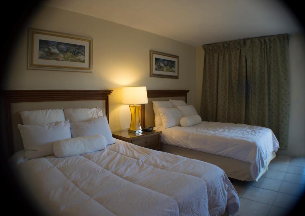 Downtown Hollywood Gardens Inn & Suites Dış mekan fotoğraf